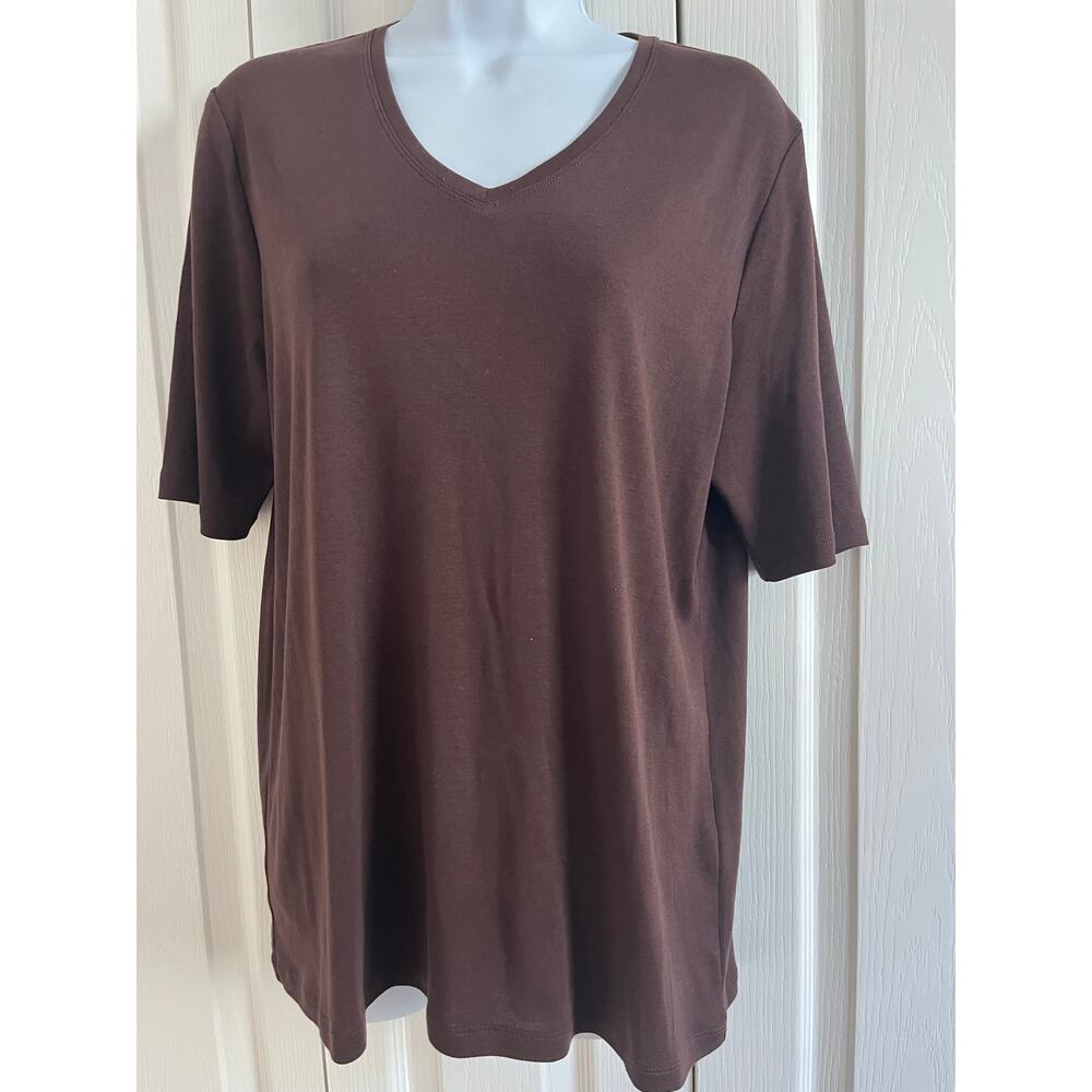 Chicos True Color V-Neck Tee Shirt Size 2 Brown Short Sleeves Casual Wear Womens
